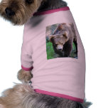 Bear Doggie Tshirt