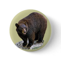 Bear Drawing Gift Pinback Buttons