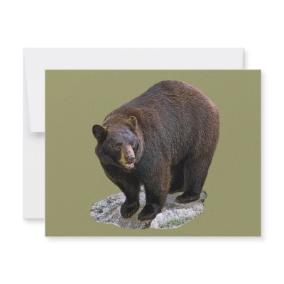 Bear Drawing Gift Custom Invites by kphotos