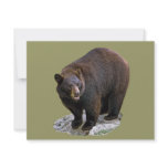 Bear Drawing Gift invitations