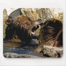 Bear Fight Mousepad