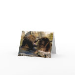 Bear Fight Note Card