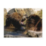 Bear Fight  Postcard
