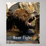Bear Fight  Poster