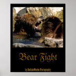 Bear Fight  Poster