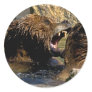 Bear Fight Stickers