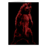 Bear Growl Cards