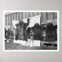 Bear Hunting Alaska 1906 posters