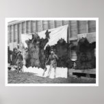 Bear Hunting Alaska 1906 posters
