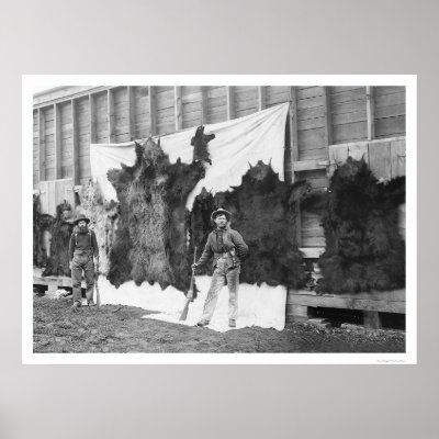 Bear Hunting Alaska 1906 Poster by lc_alaska