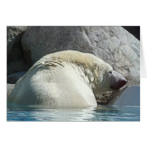 Bear II Card
