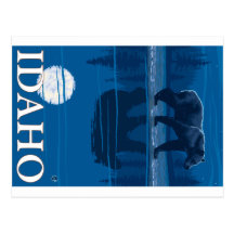 Bear in Moonlight - Idaho Postcard