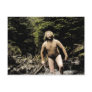 Bear in the Stream Postcard
