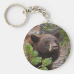 bear keychains