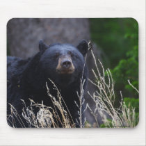 bear mousepads