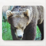 Bear Mouse Pads