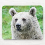 Bear Mousepad