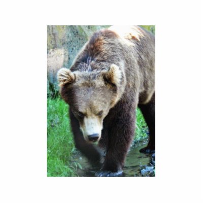 Bear Photo Sculpture by lifesphere