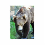 Bear Photo Sculpture