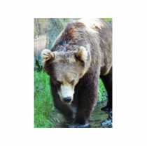 Bear Photo Sculpture
