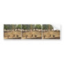 Bear pit, Berne, Switzerland vintage Photochrom Bumper Stickers