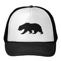 Bear Shape Mesh Hats