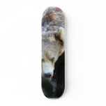 Bear Skateboard