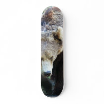 Bear Skateboard