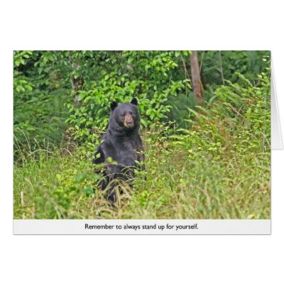 Bear Standing Up Cards by funnaturephotography
