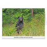Bear Standing Up cards