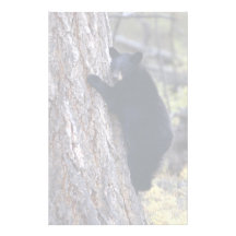 bear stationery design