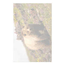 bear stationery paper