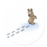 Bear Tracks