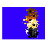 bear tracks postcard