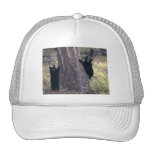bear trucker hats