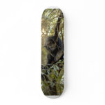 Bearcat 007 skateboards