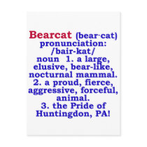 Bearcat Boldly Defined Postcards