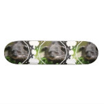 Bearcat Skateboard