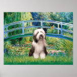 Bearded Collie 1 - Lily Pond Bridge Poster