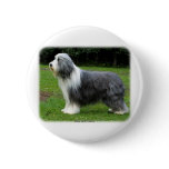 Bearded Collie 8R002D-16 Pins