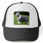 Bearded Collie 8R002D-16 Trucker Hat
