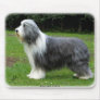 Bearded Collie 8R002D-16 Mouse Pads