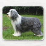 Bearded Collie 8R002D-16 mousepads