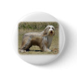 Bearded Collie 9P042D-005 Pin