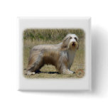 Bearded Collie 9P042D-005 Buttons