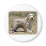 Bearded Collie 9P042D-005 Refrigerator Magnet