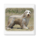 Bearded Collie 9P042D-005 Magnet
