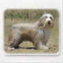 Bearded Collie 9P042D-005 Mouse Pads