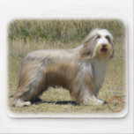 Bearded Collie 9P042D-005 mousepads