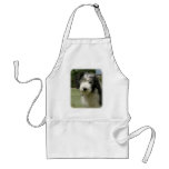 Bearded Collie 9Y049D-026 Aprons